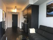 Yonge and Eglinton Toronto Furnished Condo for Rent at E...