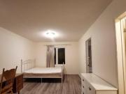 York university Master room 1300 all included