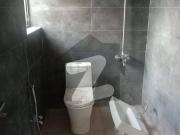 You Can Find A Gorgeous House For sale In Bani Gala