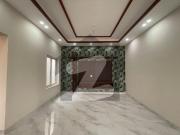 You Can Find A Gorgeous Prime Location House For rent In...