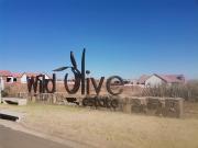 Your chance to build your Beautiful Dream home!