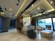 Your Dream Fully Furnished 1000 Square Yards House Is...