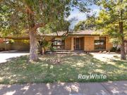 Your Next Move Starts Here