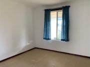 Your Own Quiet Oasis in the Heart of the Suburbs