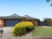 Your Search Ends Here!