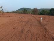 Zamindar Plots in Sarde,Chirle Residential Plot For Sale...