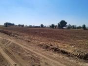 ZAPOPAN JALISCO VENDO PREDIO ACERCA AVENIDA RAMON CORONA...