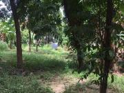 Zavalla | Residential Lot For Rent & Sale #9677