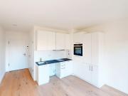 Zeitgemäßes 1 Zimmer Apartment mit Schlafnische und EBK...