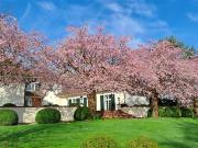 Zeitlose Landhausvilla der Extraklasse