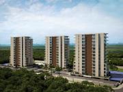 Zenit Cancun Excelente opcion / Excellent option