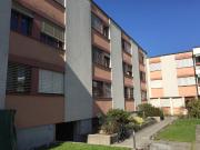 Zentral gelegene Wohnung in Albisrieden Befristet bis... Zentral gelegene Wohnung in Albisrieden Befristet bis...