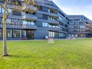 Zentral leben in Volta Mitte