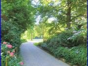 zentral + ruhig * 2 Zi Wohnung 1. OG * Balkon * Nordpark Uni