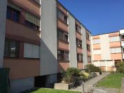 Zentrale Wohnung in Zürich Albisrieden Befristet bis...