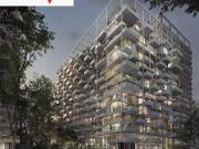 Zeta Belgrano, 2amb de categoria