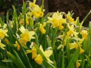 ZFH Kapitalanlage Mehrgenerationenhaus Metropolregion...