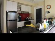 Ziba Has an Apartment