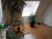 Zimmer in einer DHH