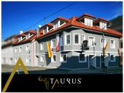 Zinshaus mit 8 Wohnungen und 2 Gewerbeeinheiten