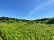 Zola Rd, Columbia, CT 06237