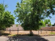 Zona de categoría para invertir