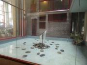 Zona Facolt di Medicina, Fisica, Chimica, Farmacia,...