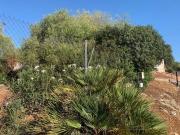 ZONA LA CIGARRA ALTA Parcela de terreno de 5400 m. con...