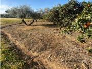✨ Espectacular villa en Boqueres, El Calvari San Vicente...