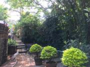 ZONA NORTE