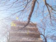 ZONA OROÑO TRIBUNALES