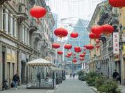 Zona Sarpi Stanza singola o doppia libera subito