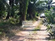 Zoning Industrial Land