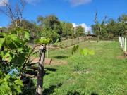 Zu Verkaufen 12 Schlafzimmer Haus Sinsheim Deutschland...