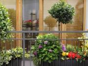 Zu Verkaufen 2 Schlafzimmer Wohnung Bremerhaven...