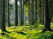 Zu Verkaufen 4 Schlafzimmer Haus Stockach, Baden...