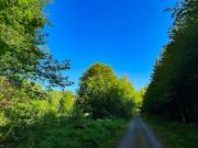 Zu Verkaufen 5 Schlafzimmer Haus Neustadt Deutschland... Zu Verkaufen 5 Schlafzimmer Haus Neustadt Deutschland...