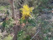 Zu Verkaufen 7 Schlafzimmer Haus Stuttgart Deutschland...