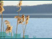 Zu Verkaufen Grundstücke Am Mellensee Deutschland...