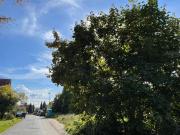 Zu Verkaufen Grundstücke Dresden Deutschland DLS94694732