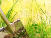 Zu Verkaufen Grundstücke Grub A.Forst Deutschland DS94819213