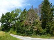 Zu Verkaufen Grundstücke Menden Deutschland DS88331869