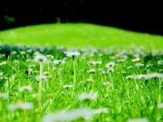 Zu Verkaufen Grundstücke München Deutschland DS93756039