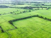 Zu Verkaufen Grundstücke Pfullingen Deutschland DLS96062494