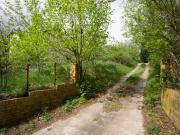 Zu Verkaufen Grundstücke Werder Deutschland DS78090507