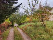 Zu Verkaufen Grundstücke Werder Deutschland DS96269177