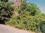 Zu Verkaufen Haus Hoppegarten Deutschland DS88570667