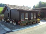 Zu verkaufen: Heimeliges Chalet im Grünen