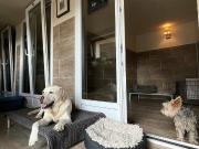 Zu verkaufen: Hundepension Happy Dogs Aigle –...
