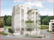 Zukunftsorientiertes und nachhaltiges Wohnen im Leimet:...